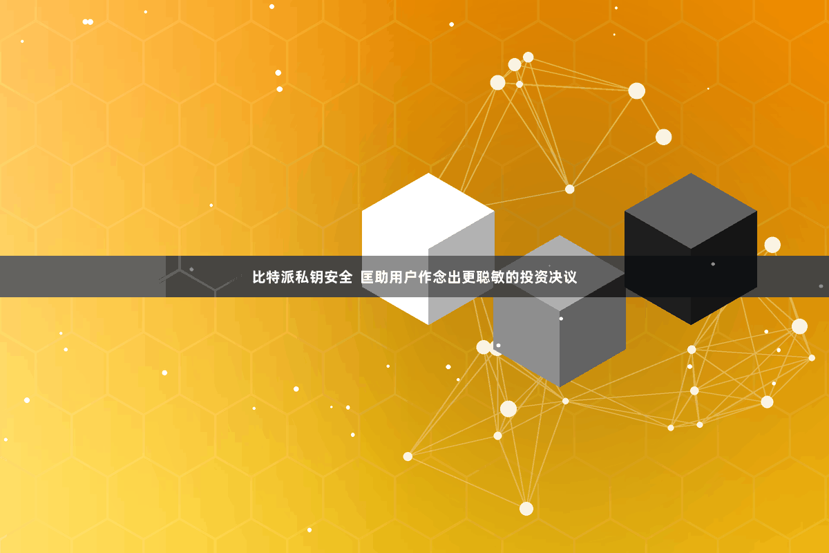 比特派私钥安全 匡助用户作念出更聪敏的投资决议